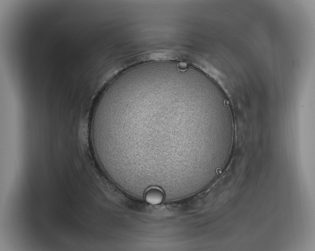 X0000115760297200911201204