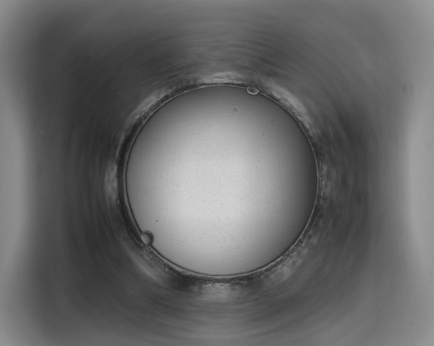 X0000115760298200911201204