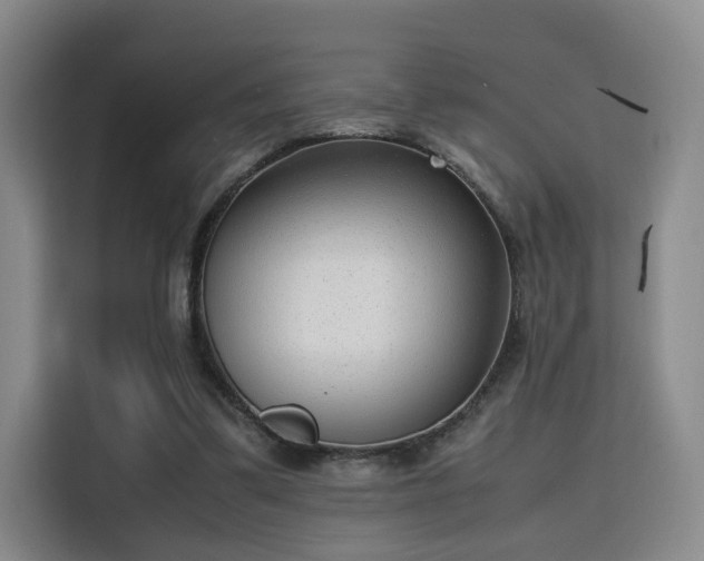 X0000115760299200911201204