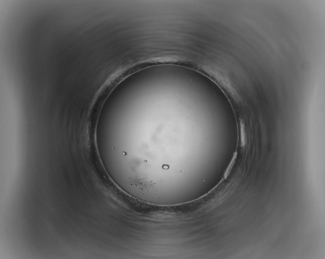 X0000115760300200911201204