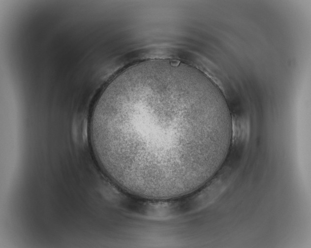 X0000115760301200911201204