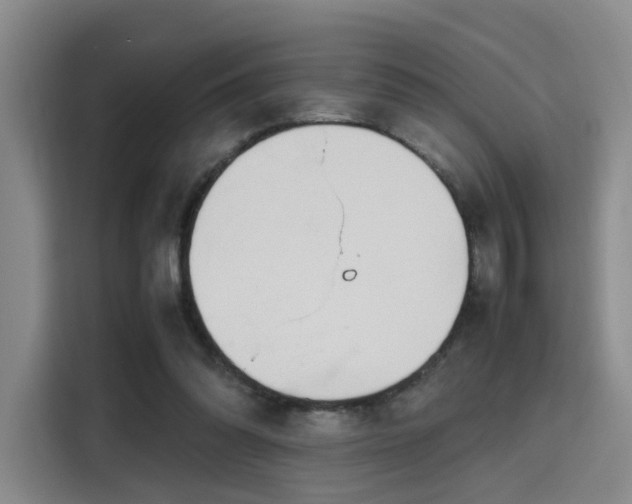 X0000115760302200911201204