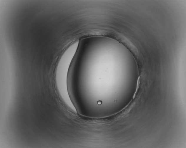 X0000115760305200911201204