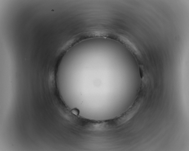 X0000115760306200911201204