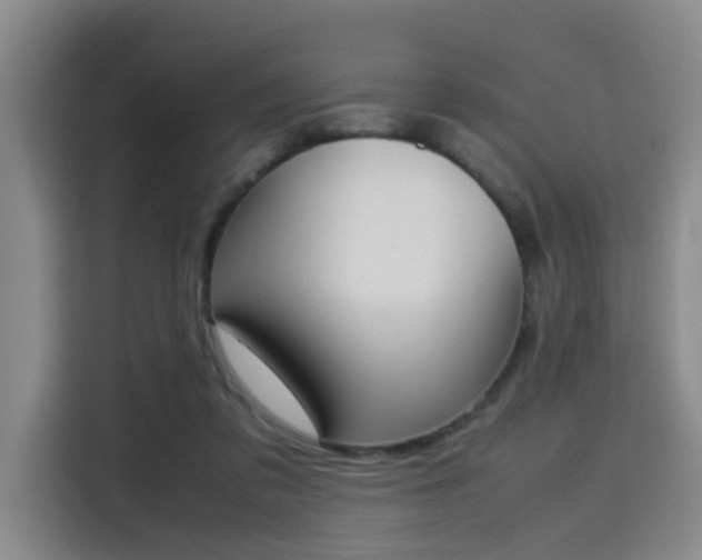 X0000115760309200911201204