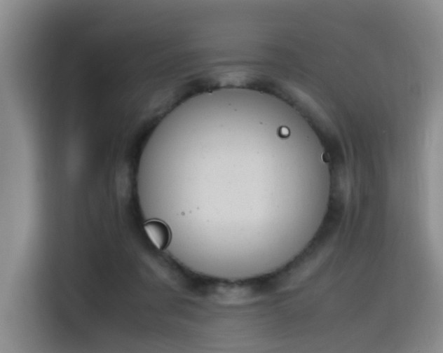 X0000115760311200911201204