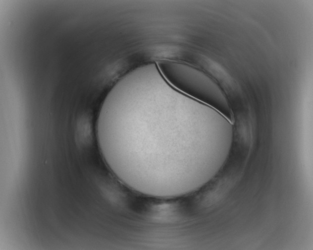 X0000115760312200911201204