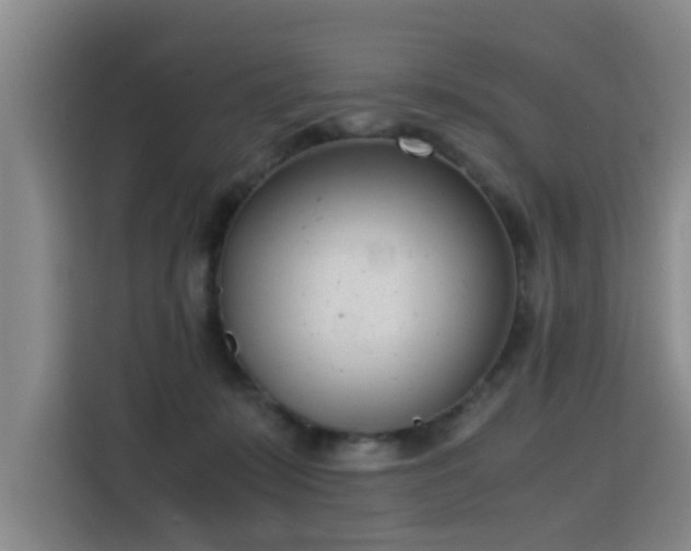 X0000115760319200911201203