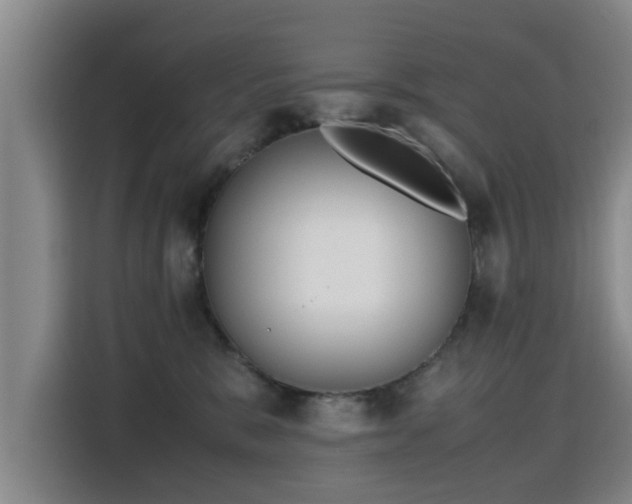 X0000115760327200911201203