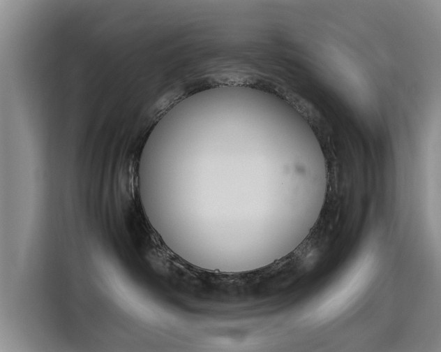 X0000115760334200911201203