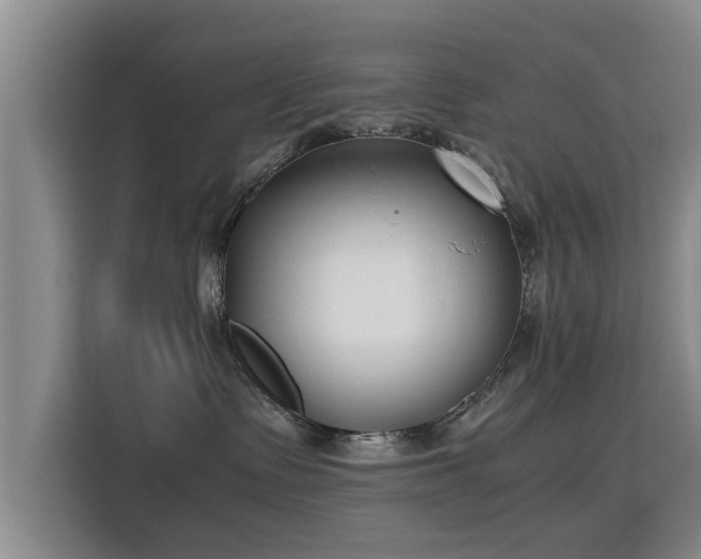 X0000115760335200911201203