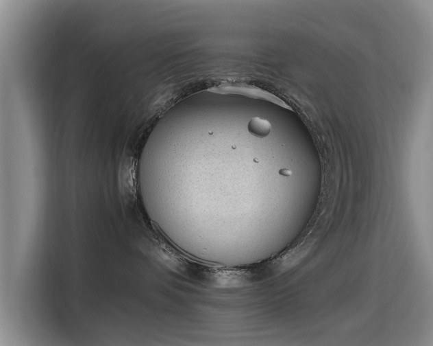 X0000115760336200911201203