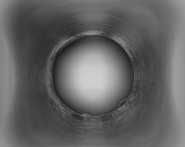 X0000115760337200911201203