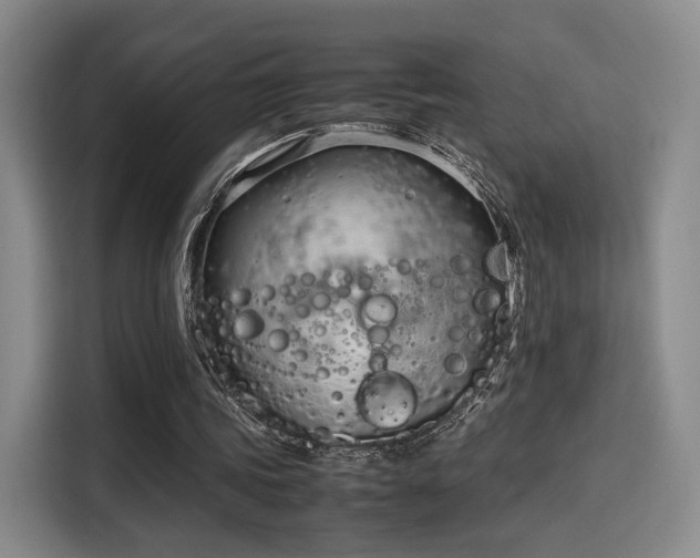 X0000115760339200911201203