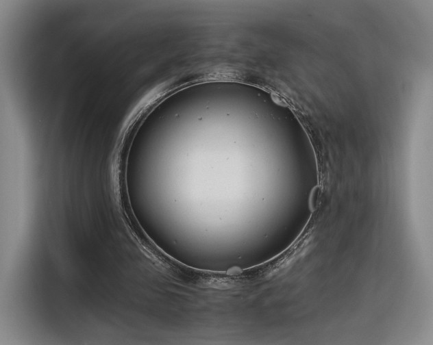 X0000115760341200911201203