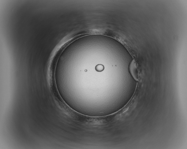 X0000115760343200911201203