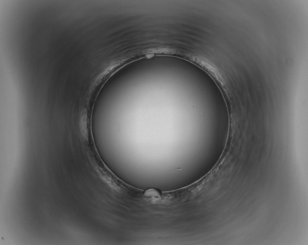 X0000115760345200911201203