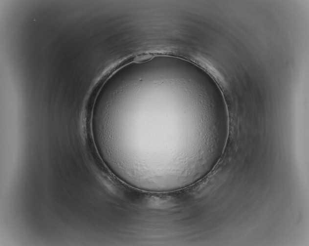 X0000115760346200911201203