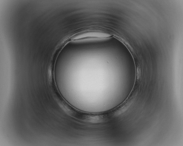 X0000115760349200911201203