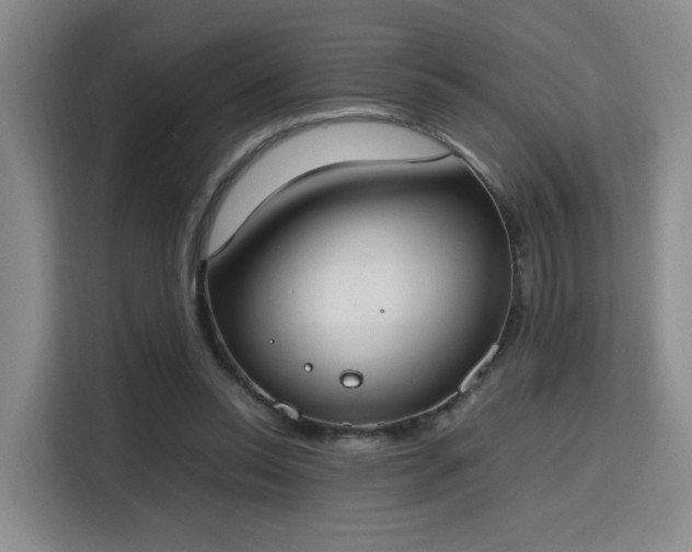 X0000115760350200911201203