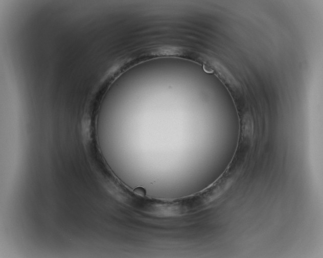 X0000115760351200911201203