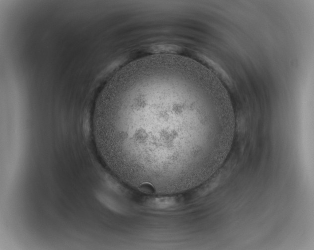 X0000115760353200911201203