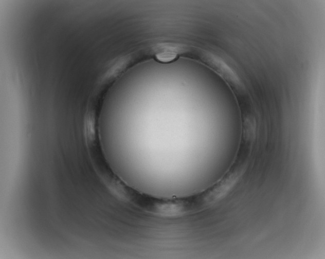 X0000115760358200911201203