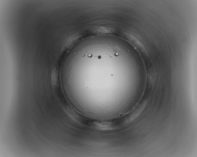 X0000115760359200911201203