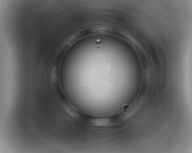 X0000115760361200911201203