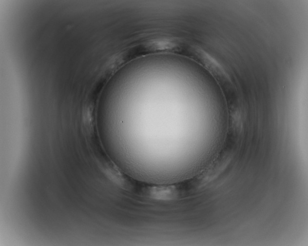 X0000115760373200911201203