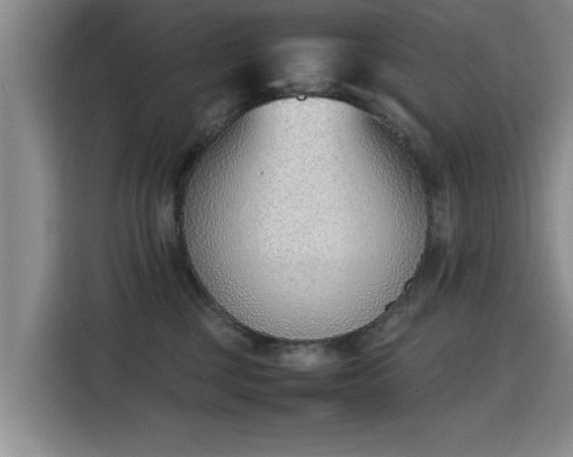 X0000115760377200911201203