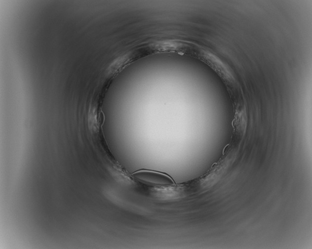 X0000115760381200911201203