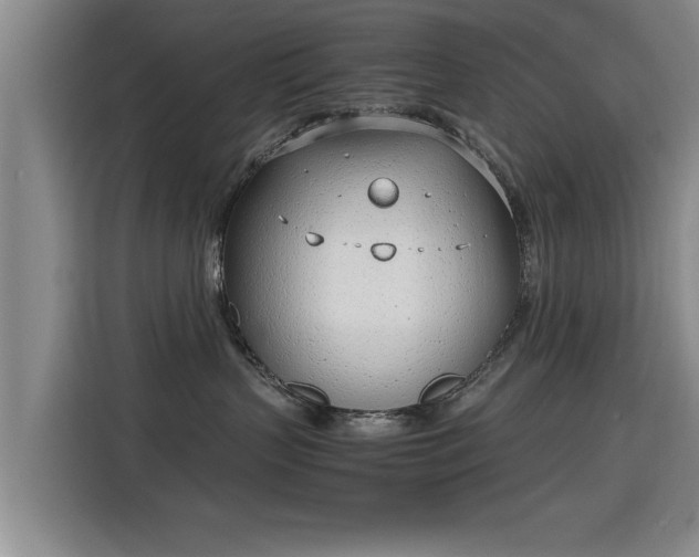 X0000115760383200911201203