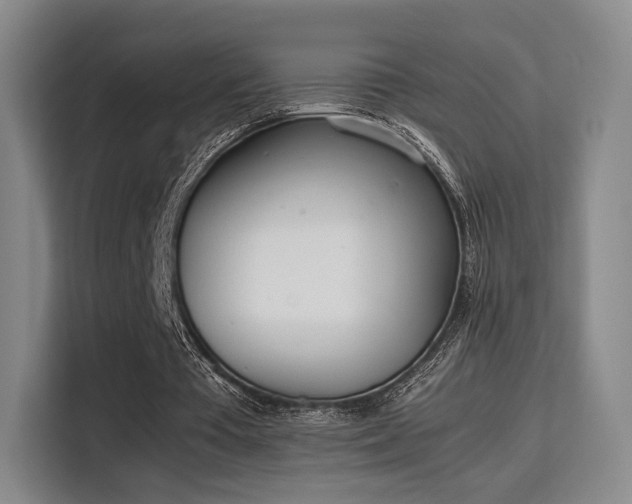 X0000115760385200911201203