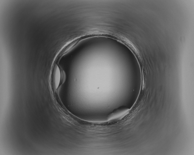 X0000115760387200911201203