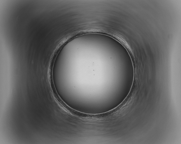 X0000115760389200911201203