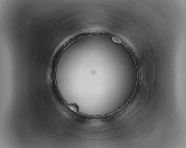 X0000115760392200911201202
