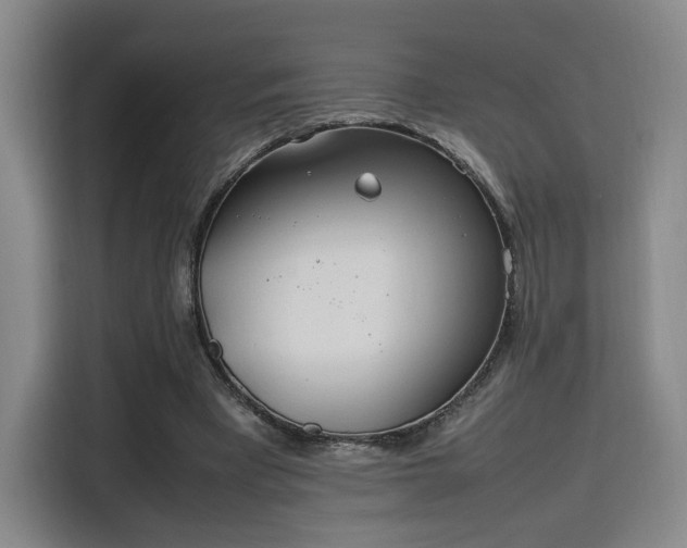 X0000115760393200911201202