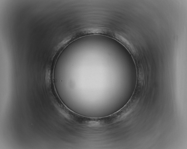 X0000115760394200911201202