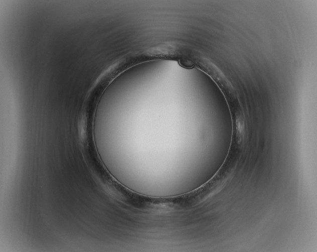 X0000115760396200911201202