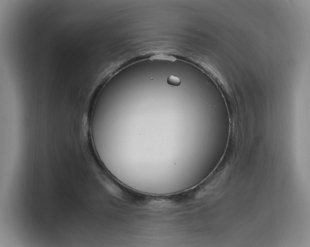 X0000115760397200911201202