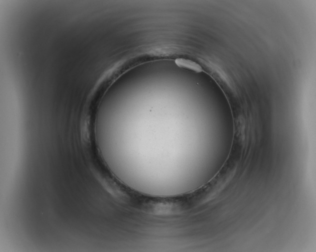 X0000115760400200911201202