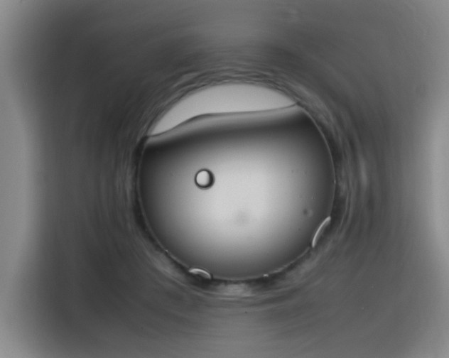 X0000115760409200911201202