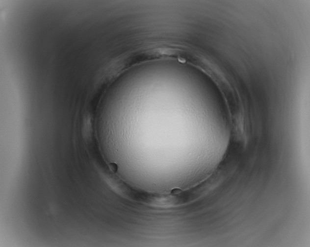 X0000115760410200911201202