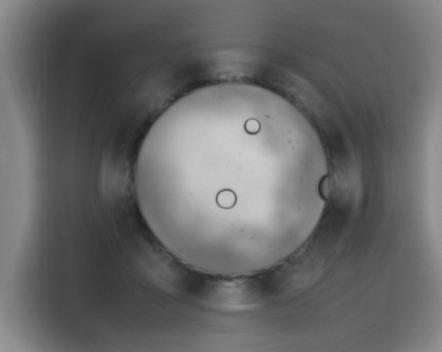 X0000115760411200911201202