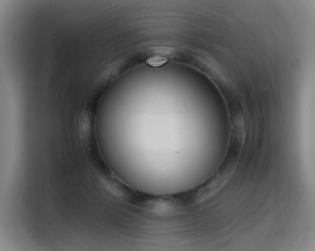 X0000115760412200911201202