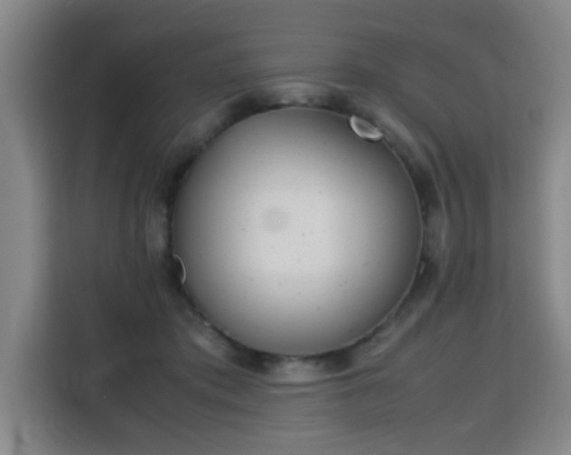 X0000115760413200911201202