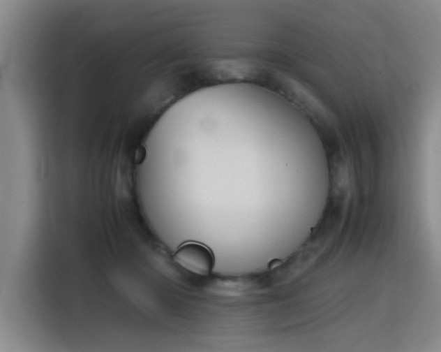 X0000115760414200911201202