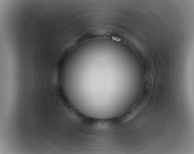 X0000115760416200911201202