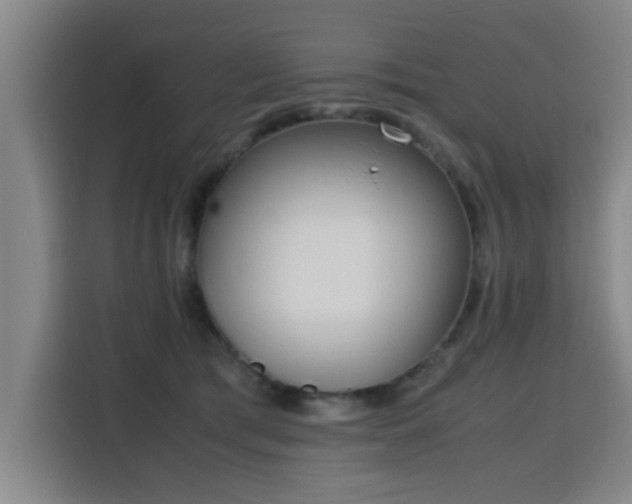 X0000115760417200911201202